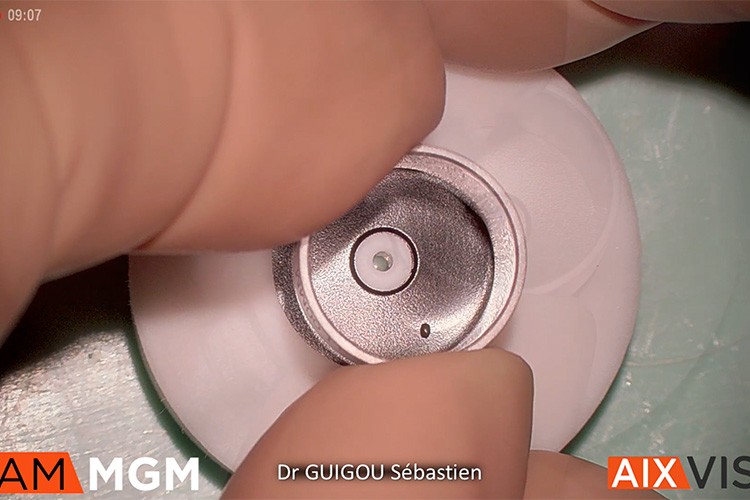 Iris artificiel Carlevale